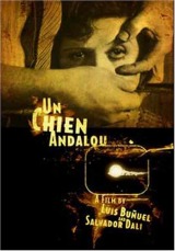 Un chien andalou (1929) first entered on 30 December 1999